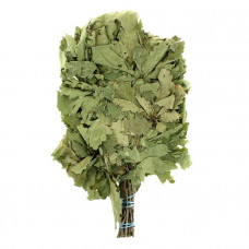 Дубовый веник Кавказский поросль 