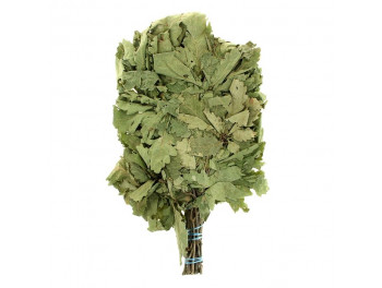 Дубовый веник Кавказский 