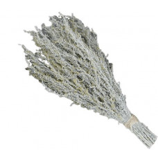 Полынь горькая для бани