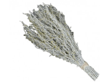 Полынь горькая для бани