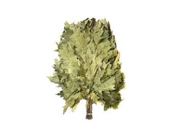 Дубовый веник Канадский отборный